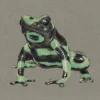 A5 Green & Black Poison Dart Frog Art Print | Graphite and Coloured Pe