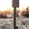 Barbed Wire - A4 mounted