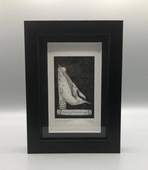 Core Strength Vol. 2 - Framed Limited Edition Print by Jenny Davies