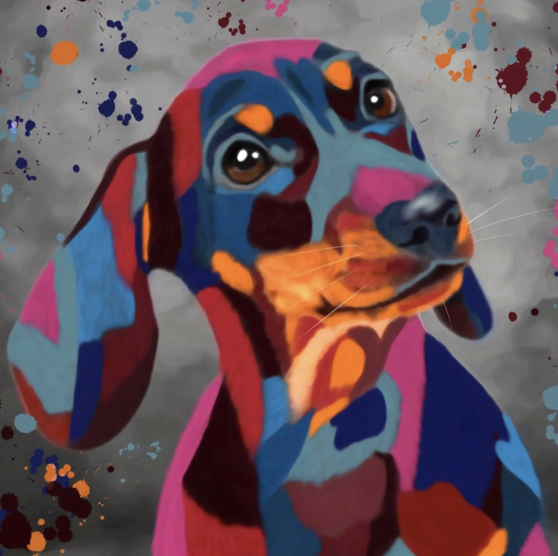 DACHSHUND DOG COLOUR SPLASH FRAMED ARTWORK.