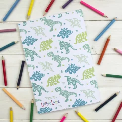 Dinosaur Journal Drawing Notebook