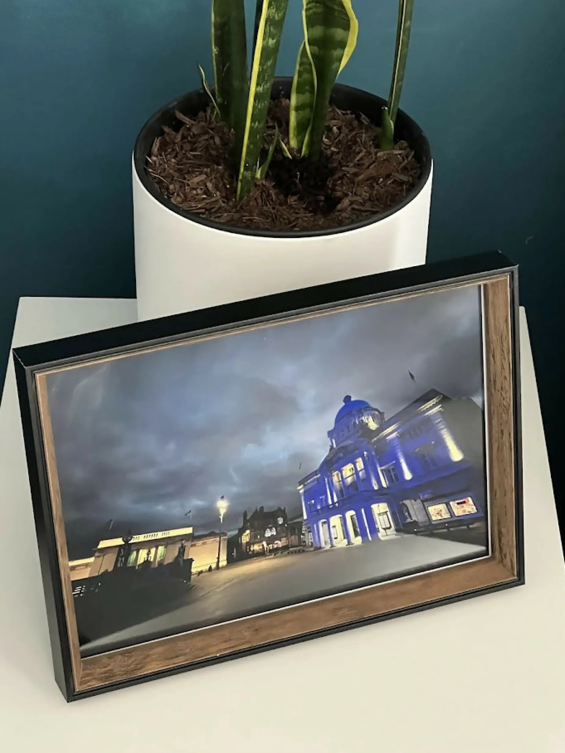 Ferens Lighting Up Victoria