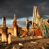 Flotsam at Spurn Point (50x40 frame)