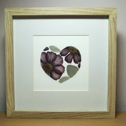 Framed Pressed Cosmos
