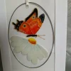 Hand Painted Daisy, Glass Plaque Card