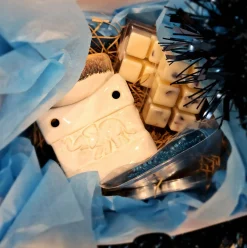 Jacis of York: Wax Burner and 2 Packs of 6 Wax Melts - Gift Set