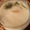 Jacis of York: Winter Pine Scented 250ml Botanical Candle