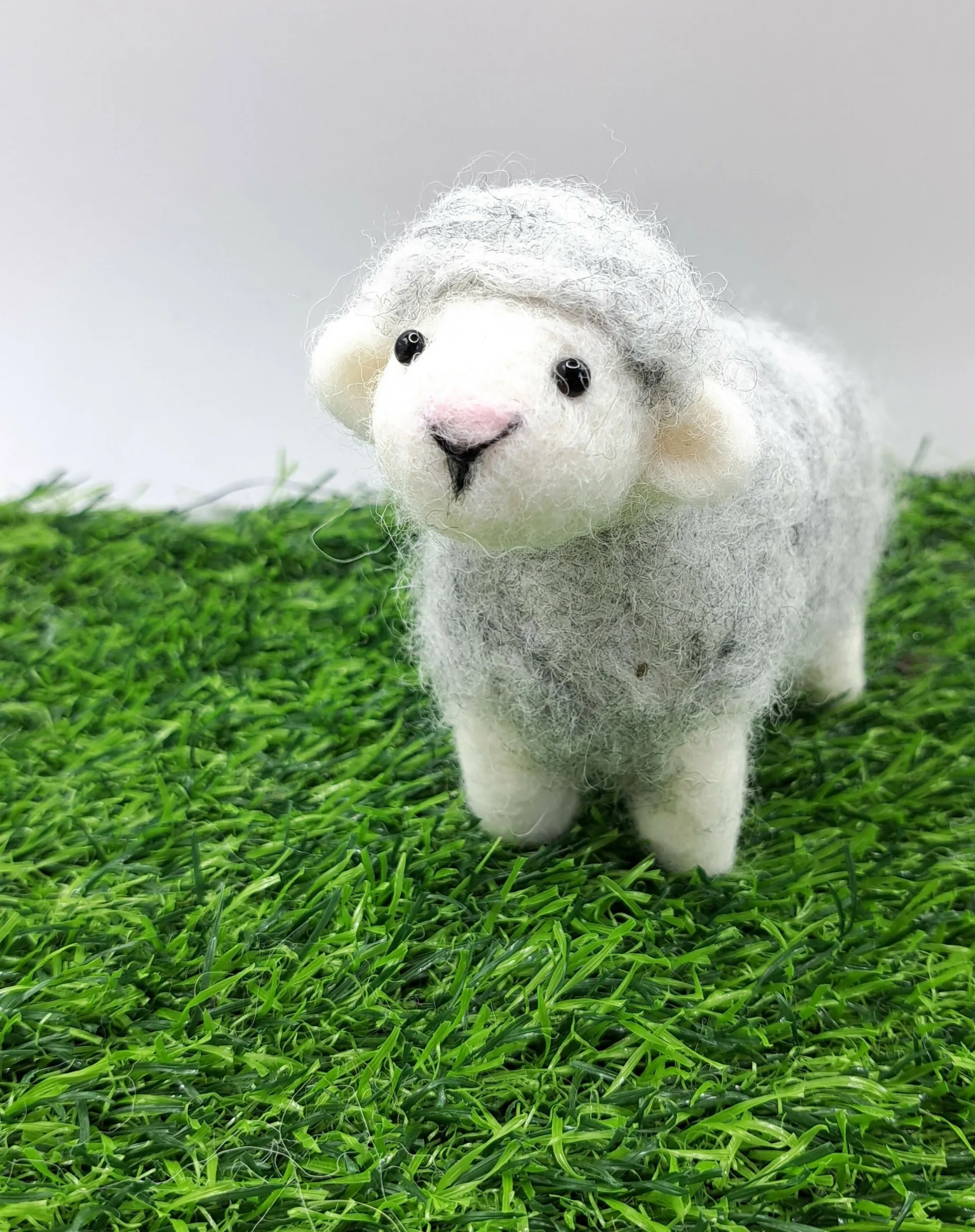 Mary, The Herdwick Sheep.