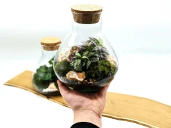 Mini Conical Terrarium