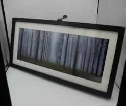 Misty Trees (wide pano frame)