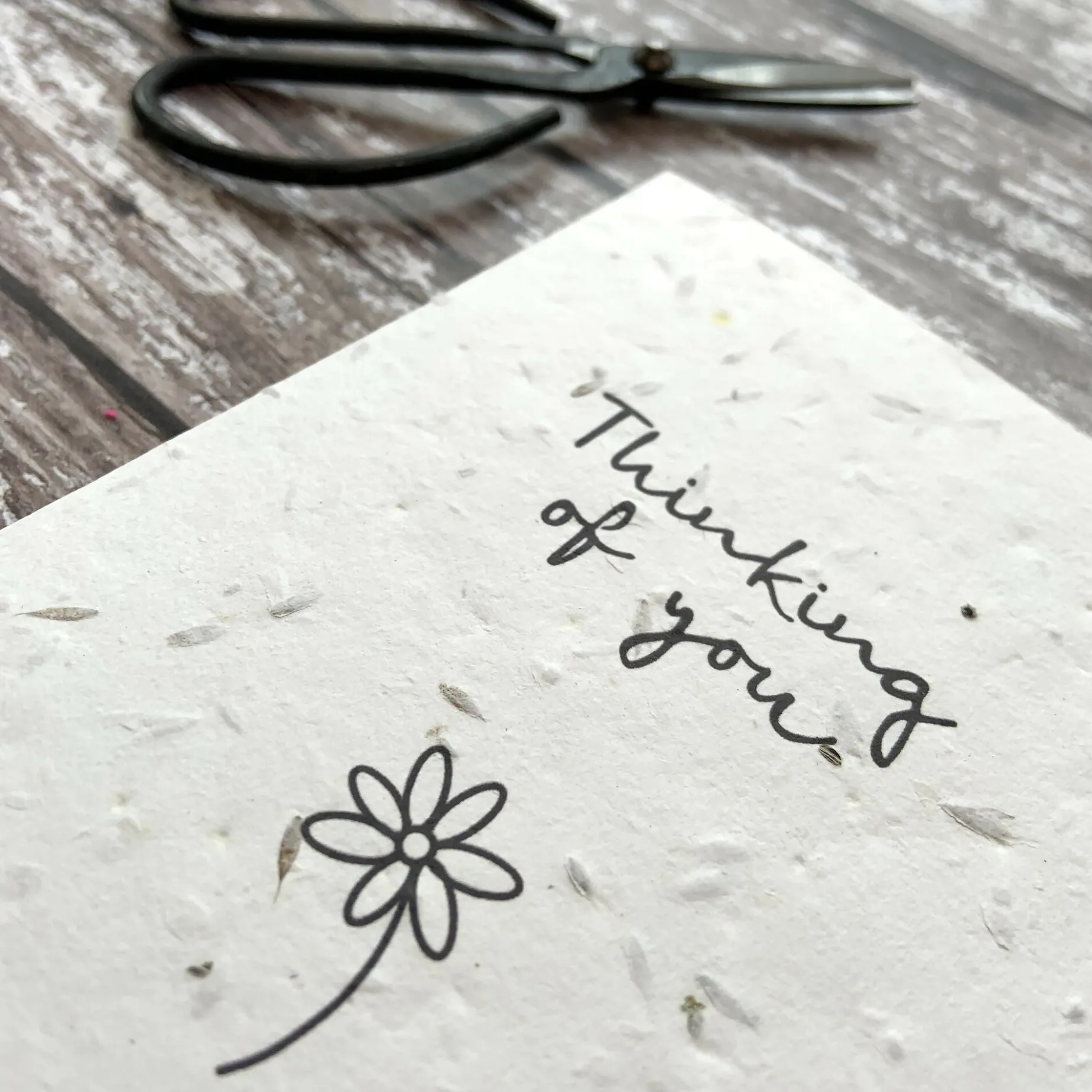 Plantable Thinking of You Card