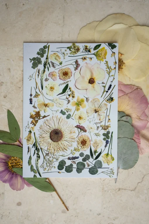 Pressed Flower Greetings Card