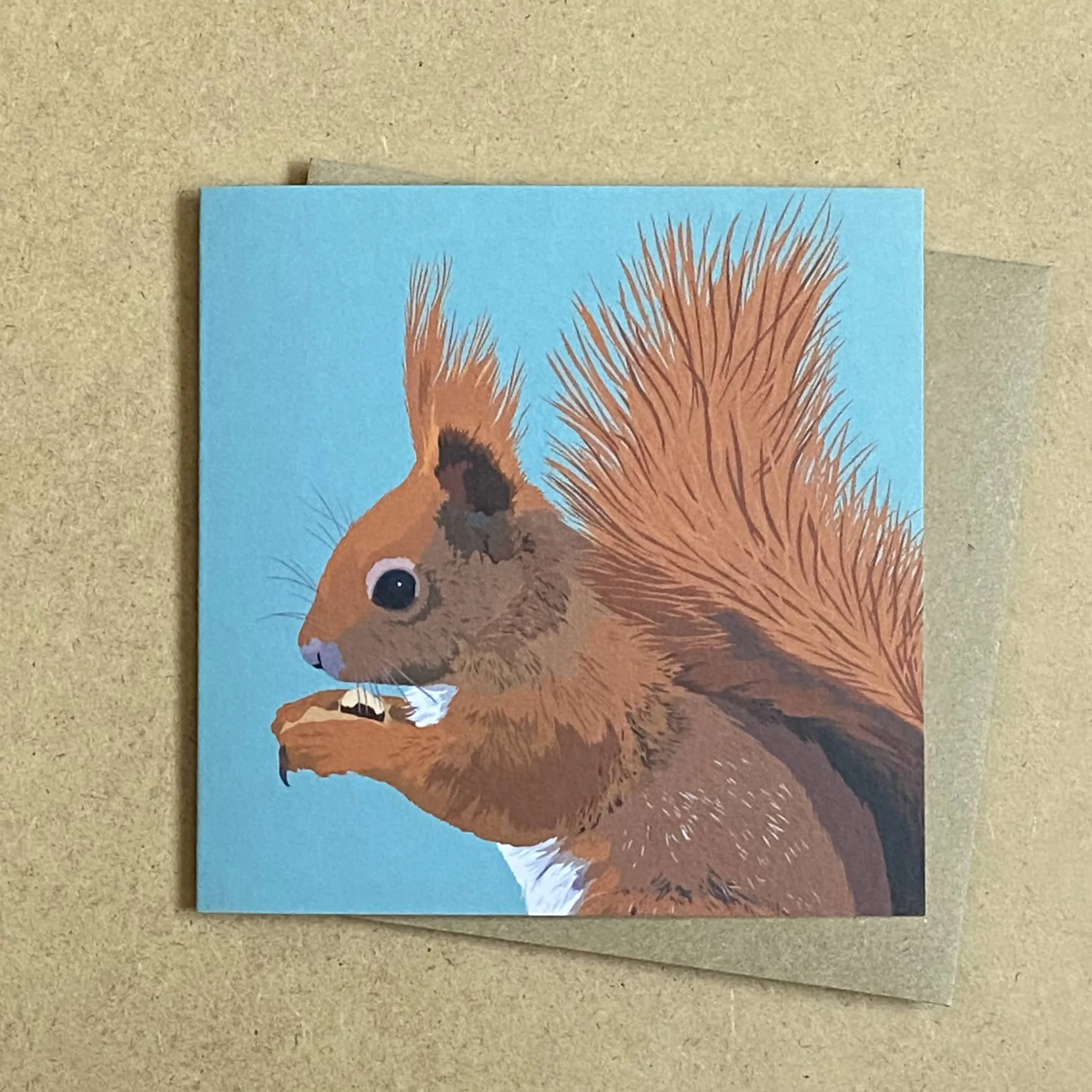 Red Squirrel Greetings Card