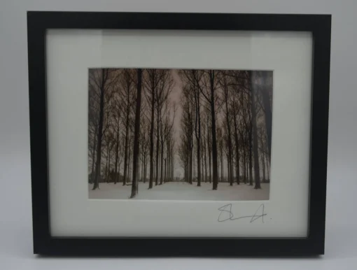 Snowy Trees (small frame)
