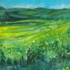 SUMMER FIELDS - ORIGINAL